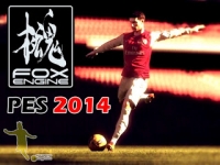 ����������� PES 2014