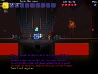 Terraria ������ �� ���� � ��������� ������ / ���